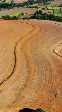 Harvesting In Teofilo Otoni Minas Gerais Brazil. Aerial View Of Contrasting Farming Techniques On Adjacent Fields. Countryside Farm. Nature Agriculture. Teofilo Otoni Minas Gerais.