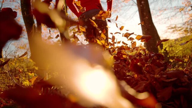 LENS FLARE, SLOW MOTION, DOF, LOW ANGLE, CLOSE UP: Backlit by warm sunshine, woman runs through woods while burst of autumn leaves flies up around her. Lively moment of jogging in vibrant fall season.