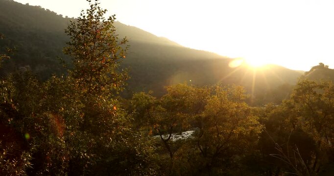 Sunset back lights trees, shrubs, and the San Gabriel River in the San Gabriel Canyon above Azusa, California, USA.