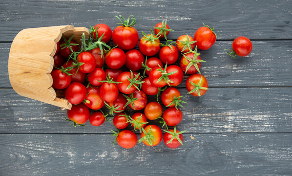 Fresh tomatoes vegetables, Fresh Harvest Ripe red farm organic cherry tomato on dark old background	
