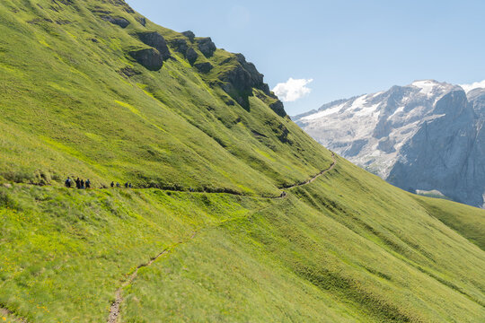 Canazei, Italy. Alpine hiking trail across green mountain slopes with glacier-covered Dolomite peaks in the background