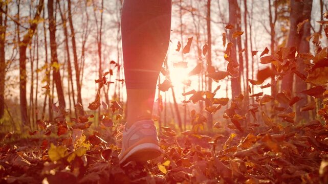 LENS FLARE, SLOW MOTION, DOF, LOW ANGLE, CLOSE UP: Woman runs through sunlit autumn forest as dry leaves scatter around her feet. Warm golden sunlight shines through bare trees during a fall run.