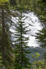 Tree Silhouette and Waterfall © George Erwin Turner