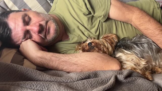 Man peacefully sleeping in bed alongside his adorable yorkshire terrier, sharing a moment of pure tranquility, affection and relaxation in a comfortable home environment