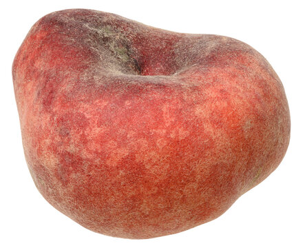 Whole ripe fig flat peach with velvety pink-yellow skin