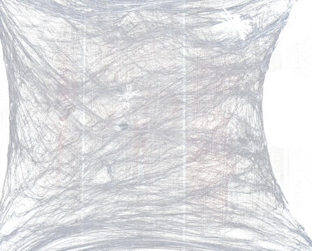 Thick white web on isolated background.