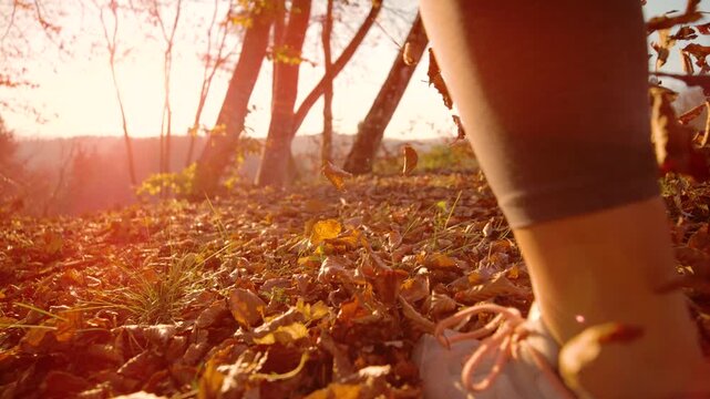 LENS FLARE, SLOW MOTION, DOF, LOW ANGLE, CLOSE UP: Running shoes moving through carpet of dry fall foliage. Autumn leaves fly into the air with every step woman makes as warm sunlight fills the forest