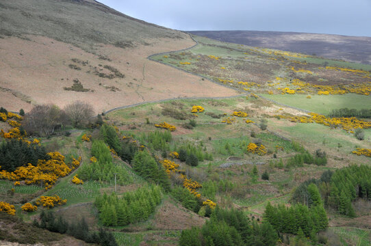 Berghang vom Snaefell auf der Isle of Man