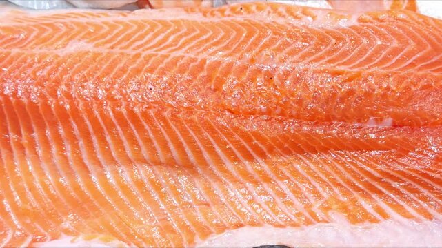 A cut of salmon with fat marbling lies in a display case