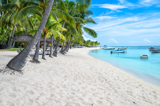 Tropical White Sand Beach with Palm Trees in Le Morne, Mauritius