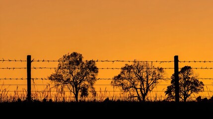 Obraz premium Silhouetted barbed wire fence standing before several barren trees set against a vibrant glowing orange golden hour sunset sky background