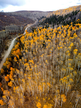 Kolob Autumn Colors