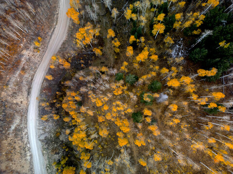 Kolob Autumn Colors