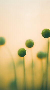 Soft green botanical shapes float on a warm, diffused background. Minimal abstract composition with analog grain creates a soothing, organic atmosphere.