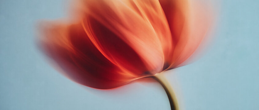 A single blurred flower glows in painterly red and peach tones against a serene blue. The soft airbrushed gradient and subtle grain evoke a dreamlike spring mood.