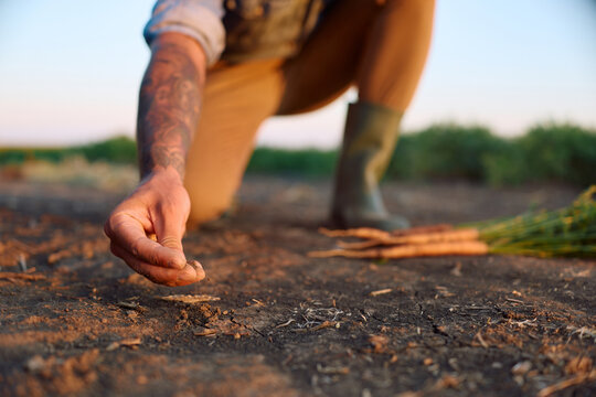 Close up of farmer checking soil quality in field.