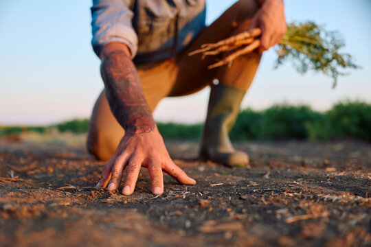 Close up of farmer owner examining soil texture in field.