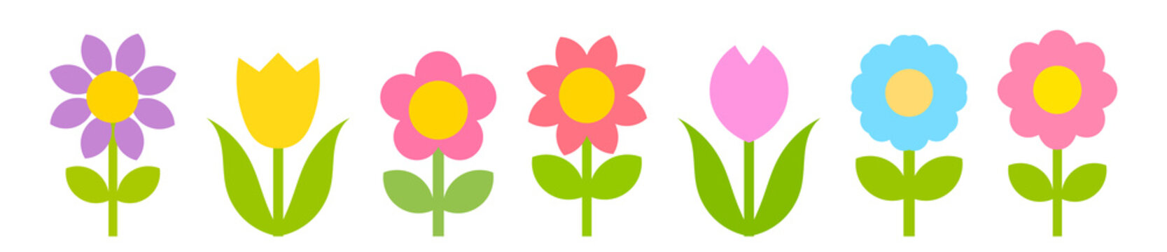 Flower icons collection in simple flat design style. Colorful set of cute spring blooms. Cartoon botanical design elements. PNG illustration on transparent background