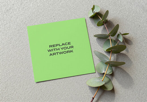 Square card mockup with placeholder text displayed on a textured surface alongside eucalyptus branch, flat lay presentation for stationery, branding, Template, and print media design