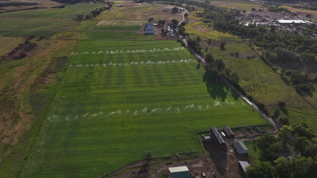 Aerial of agricultural field with irrigation sprinklers and farm buildings in Mancos Colorado showing rows of crops being watered by sprinklers