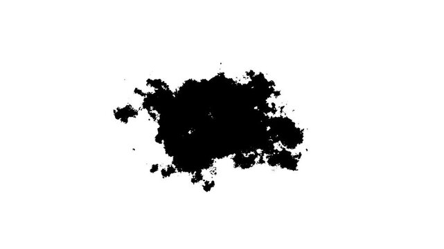 Textured black ink blot expanding and shifting organically on a clean white background video organic fluid spreading outward like an spill or smoke plume on canvas