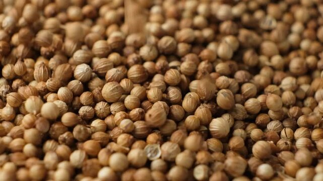 Slow motion of dry coriander seeds falling onto a heap