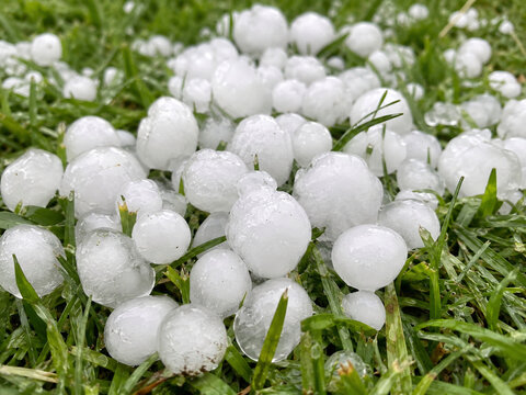 Large translucent hailstones cover wet green grass after a severe hailstorm, showing damaging frozen precipitation from an intense thunderstorm.