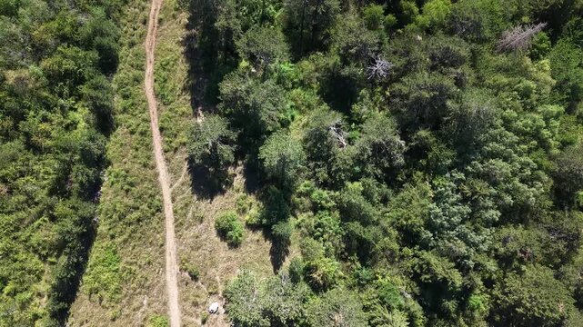 Top-Down Aerial Drone View of Forest Trail Leading to Recreation Spot in Trebevic, Bosnia and Herzegovina