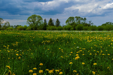 Sielskie klimaty  © Stanisaw