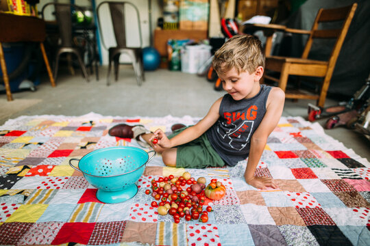 Little Boy Sorting Fresh Harvested Cherry Tomatoes and Potatoes