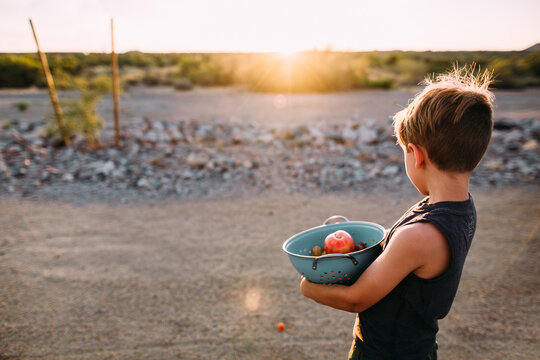 Young Boy with Fresh Harvested Produce at Sunset in Desert Landscape