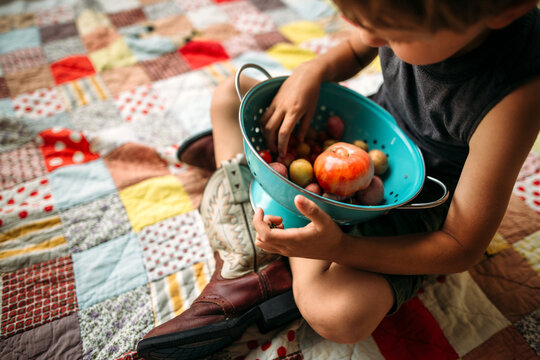 Young Boy Holding Tomatoes and Potatoes on Quilt