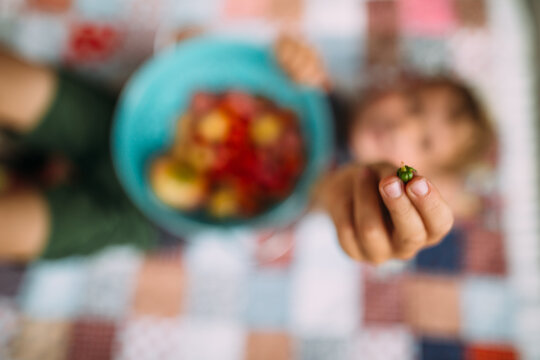 Close up of Young Boy Holding Cherry Tomato