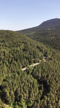 Aerial View of Lush Pine Forest Road in Mountain Landscape, Bosnia and Herzegovina