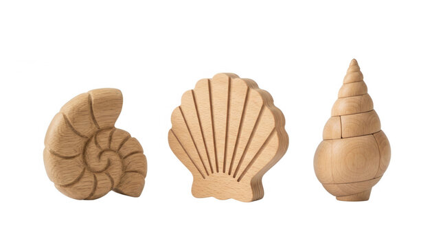 Elegant wooden shell shaped toys nautilus scallop and conch designs for creative play and decoration