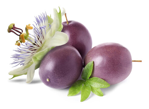 Fresh passion fruits, flower and leaf isolated on white