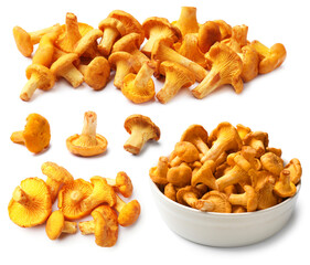 Fresh chanterelles isolated on white, set. Edible mushrooms © New Africa