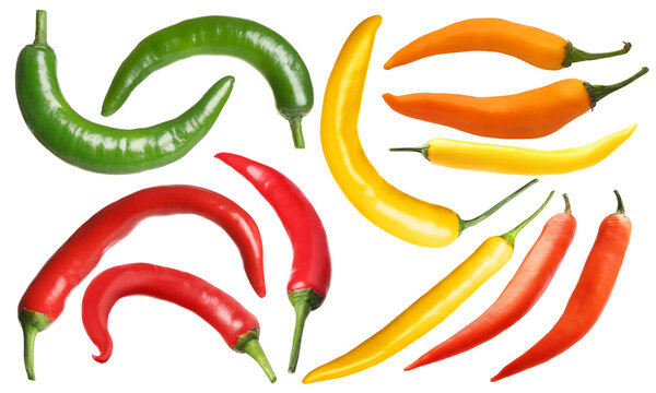Chili peppers in different colors on transparent background