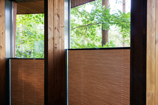 home window frames with pleated blinds