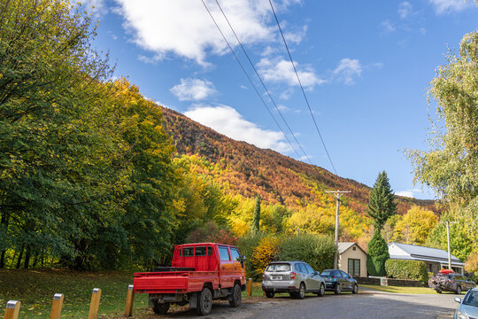 Leafy residential street with vehicles parked surrounded by beautiful autumnal colours of dense foliage of birch, polars and maple trees on hillside behind homes