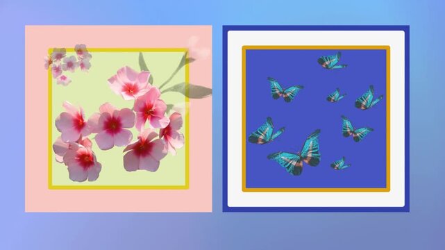 Decorative floral motion video footage featuring vibrant rose arrangements alongside delicate botanical illustrations and tropical plants presented in four distinct artistic frames for elegant digital