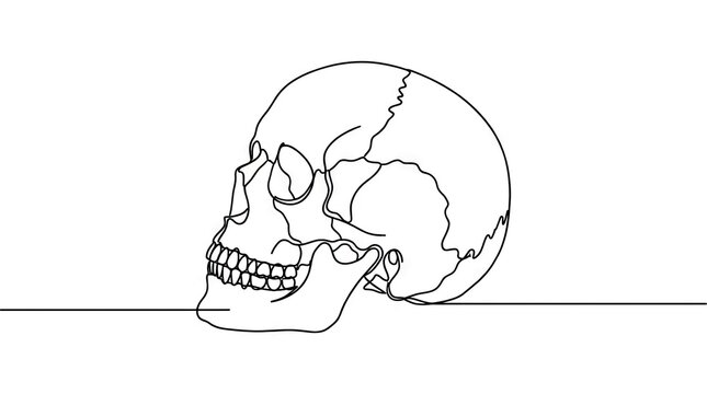 Continuous one line drawing of a human skull profile