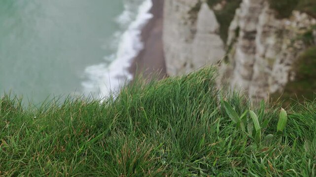 Wind blows clifftop grass at Etretat, Normandy, France. Green blades in focus, with blurred chalk cliffs, pebble beach, breaking surf and pale green sea on the Alabaster Coast