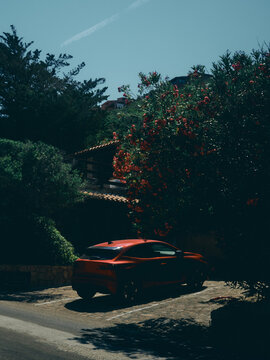 car in driveway covered with trees and flowers