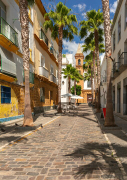 Traditional buildings and tall palm trees frame a cobblestone pedestrian street leading toward a church in Cadiz, Spain.