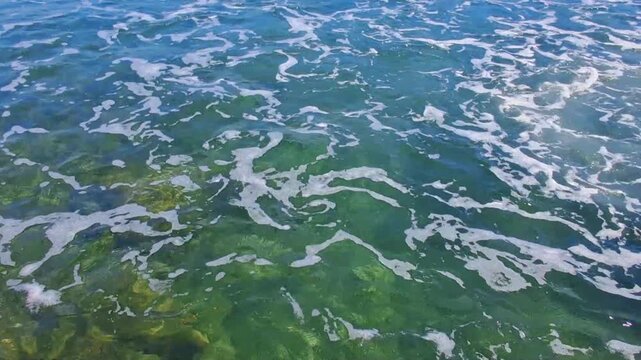 Sunlit shallow coastal water with foam and visible seabed