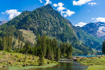 Fototapeta premium Nature landscape. River in scenic nature. Scenic nature of mountain river. Mountain forest. Wild forest. River with mountain landscape. Landscape on lake at meadow