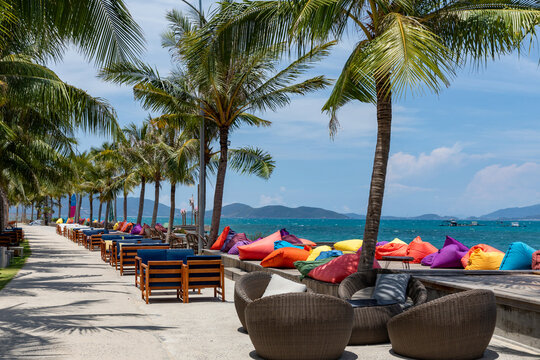 Marina beach in Nha Trang, Vietnam. Tropical beachfront pathway features lush palm trees and vibrant lounge chairs arranged along sides, creating a relaxing atmosphere with ocean and distant islands