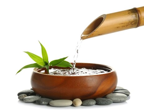 Water flows from a bamboo spout into a bowl with a green plant and stones on a white background
