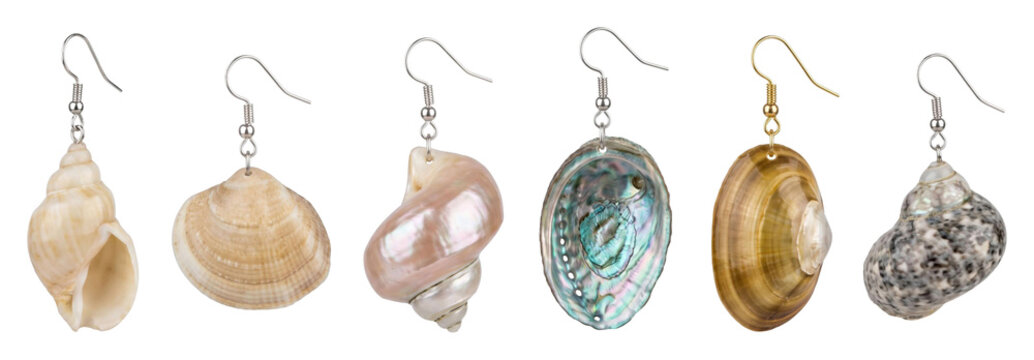 Six unique handmade seashell earrings hanging in a row, showcasing a beautiful variety of natural marine shells like iridescent abalone, polished conch, and speckled turbans